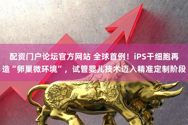 配资门户论坛官方网站 全球首例！iPS干细胞再造“卵巢微环境”，试管婴儿技术迈入精准定制阶段