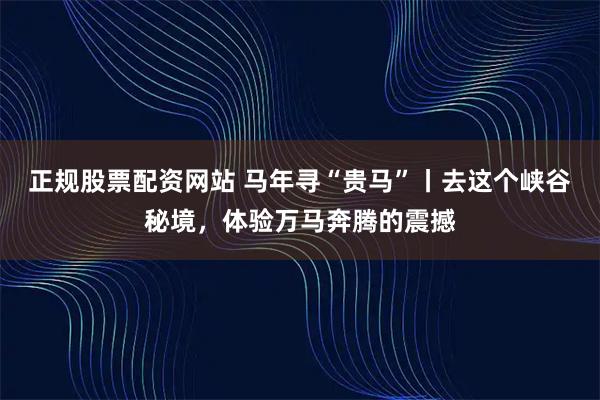 正规股票配资网站 马年寻“贵马”丨去这个峡谷秘境，体验万马奔腾的震撼